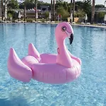 Hotel Amon - Adult Only Belek
