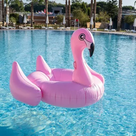 Amon - Adult Only Belek